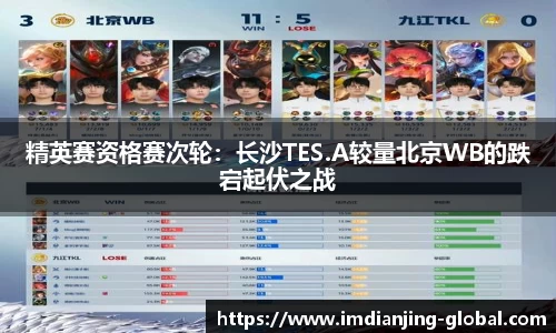 IM电竞官方正版网站