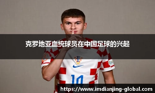 IM电竞官方正版网站