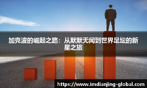 IM电竞官网